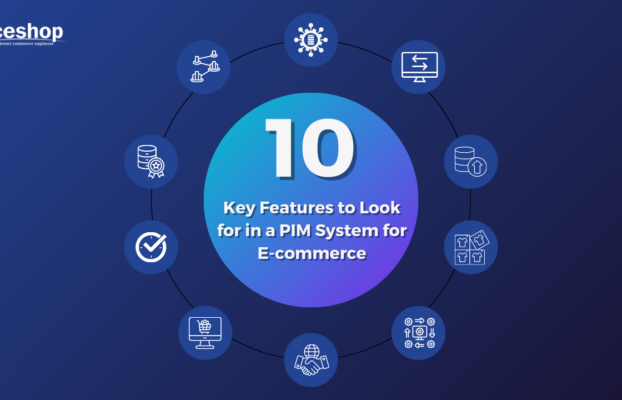 10 Key Features to Look for in a PIM System for E-commerce