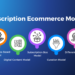 Subscribtion e-commerce models
