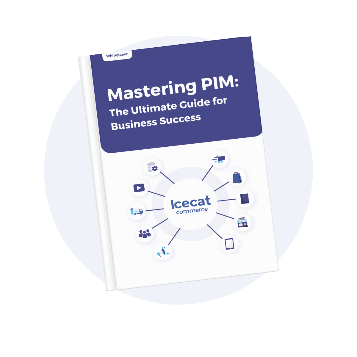 Mastering PIM Whitepaper